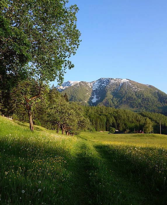 Wandern über Wiesenwege