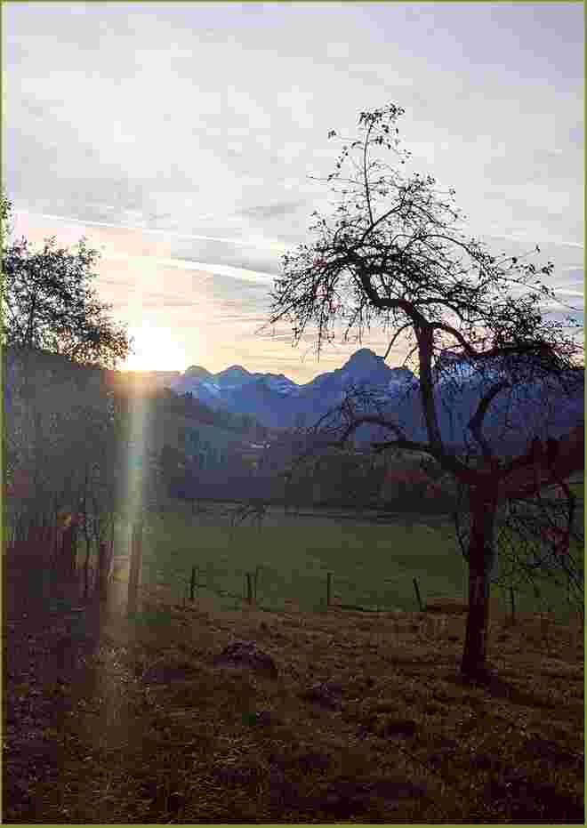 . . . sie sank . . . ob sie noch Farben schicken wird  ??