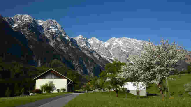 Frühling