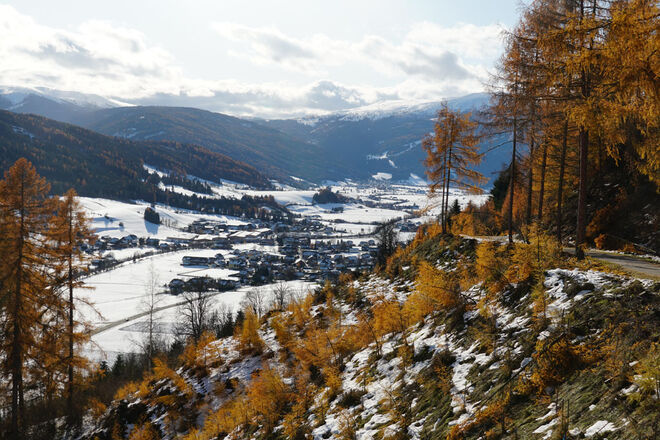 Goldener Herbst oder Winter?