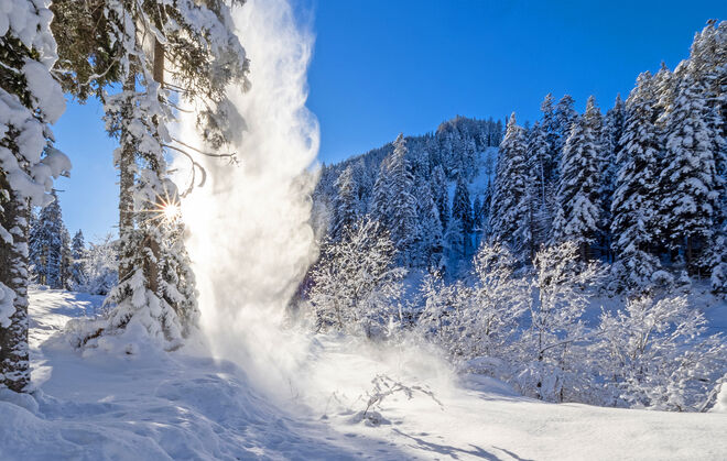 Einen guten Rusch ins neue Jahr 2025