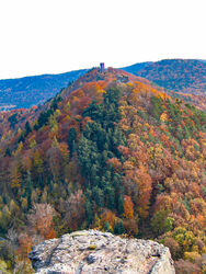 Herbst in der Pfalz (1)