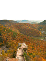 Herbst in der Pfalz (2)
