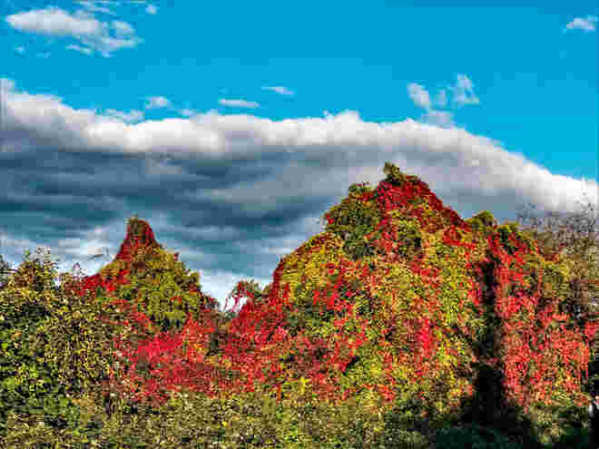 Herbstberge . . .