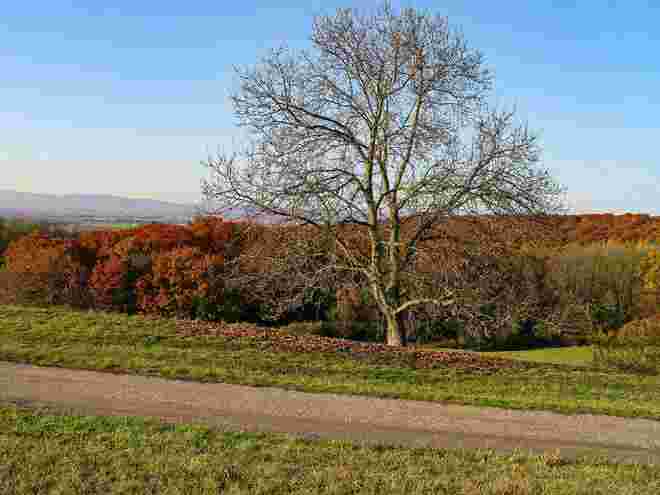 Dem Herbst voraus