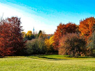 Herbstpark mit Aussicht