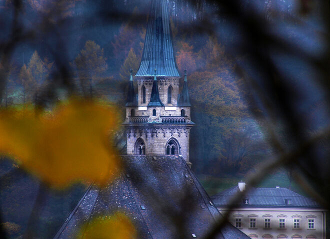 Durch Gebüsch geguckt