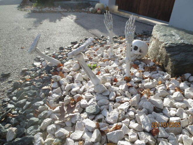 Halloween kann kommen