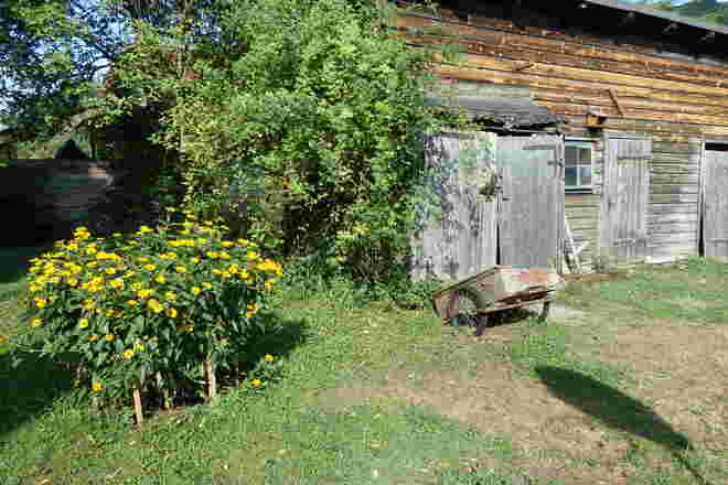 im verwunschenen Garten