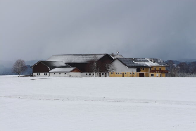 Vor ein paar Tagen....