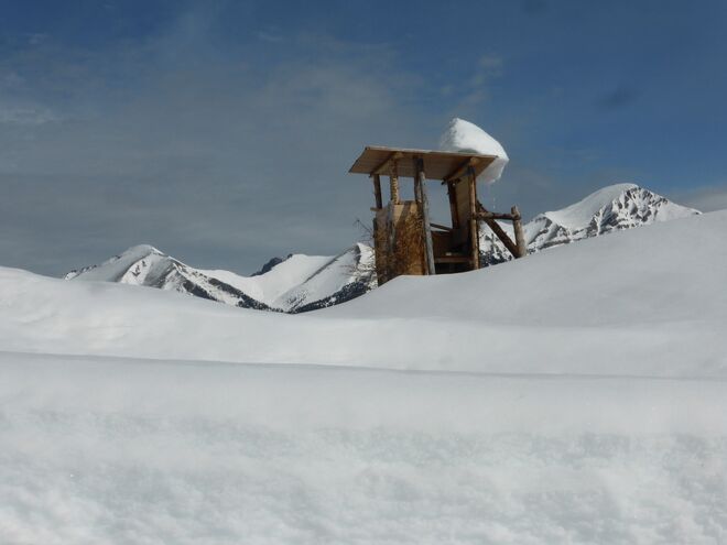 Schneedacherl am Hochstand