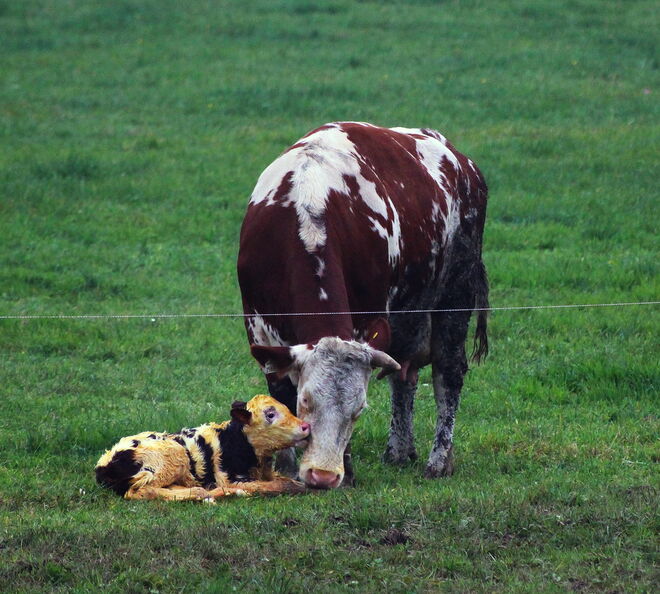 Neues Leben am Tag der Toten