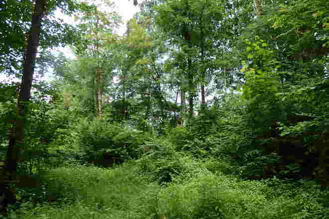 Mystik im Tierpark