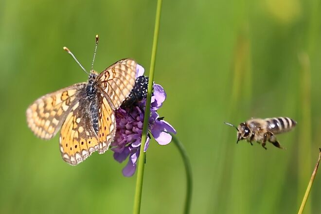 Ist da noch ein Platzerl frei ? 