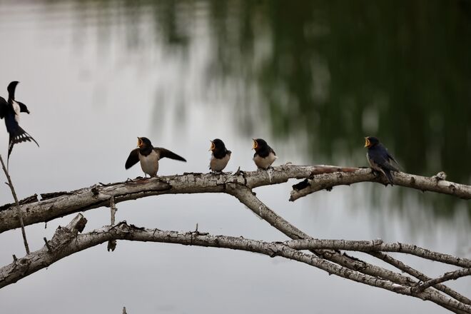 Jetzt bin ich an der Reihe !!!!