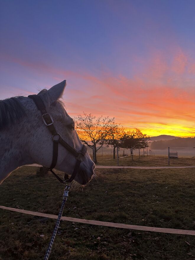 Here comes the sun…