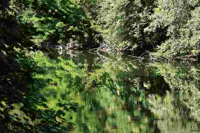 Am Heustadlwasser