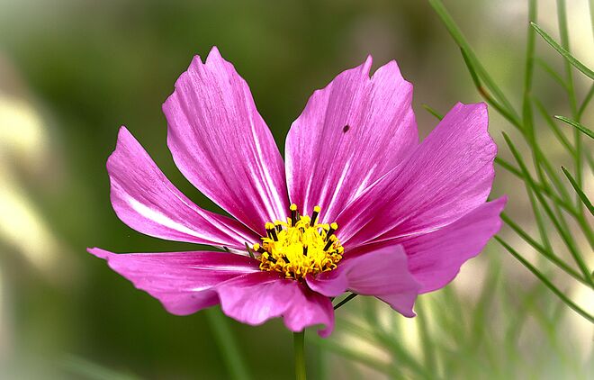 der Regen tut gut...