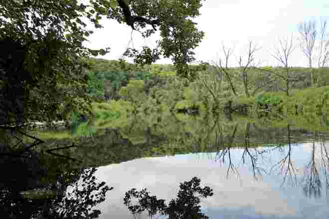 Spiegelung an der jungen Donau