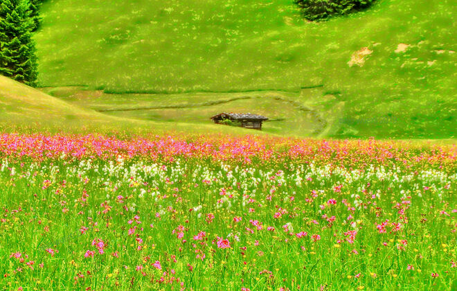 Pinzgauer Almhütte (by "Pixel Malerei")