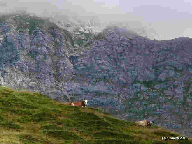 Kuuhle Aussicht