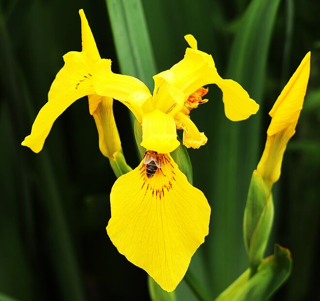 Unterschlupf suchen...