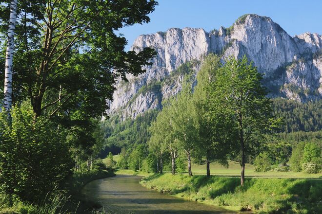 Frühsommermorgen unter der Drachenwand