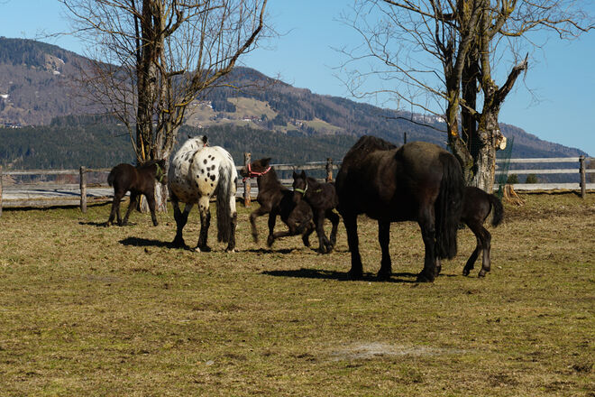 Der erste Ausgang im Frühling