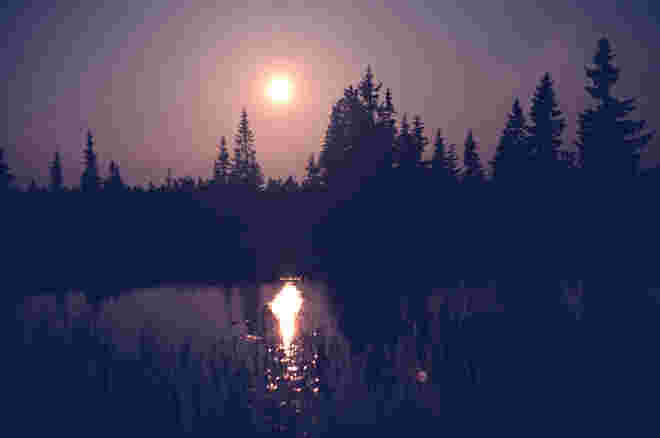 Fahles Mondlicht