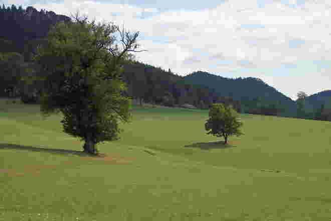 Idylle