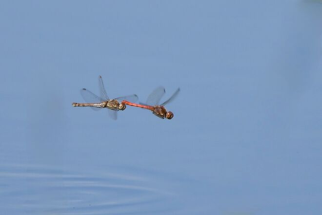 Gemeinsamer Flug ins Wochenende