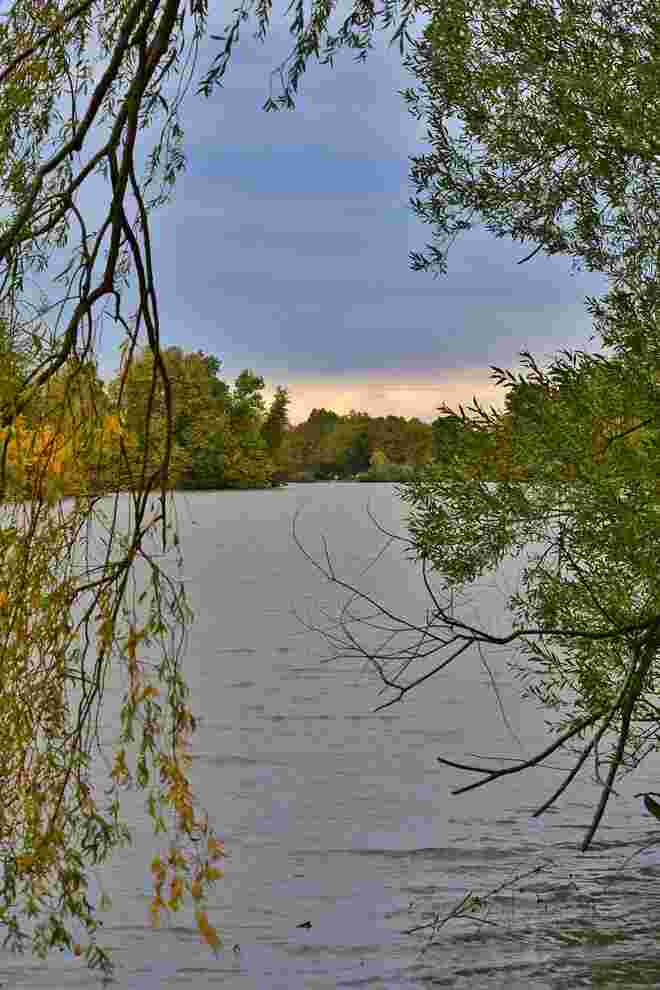 Herbstlicher Leopoldskroner Weiher
