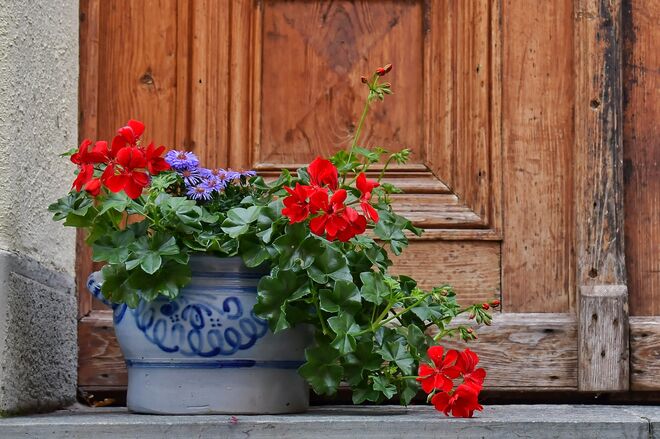 Schmucker Eingang ...