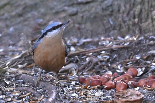 Ist das alles für mich?