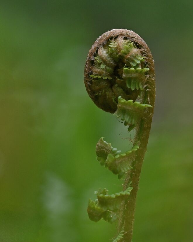 Brrr, kalt und nass, da bleib' ich lieber eingerollt!