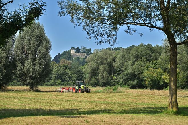 Ländliche Idylle mitten in der Stadt 