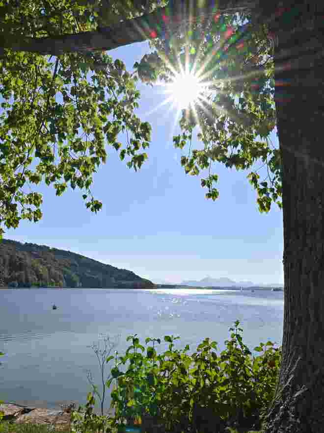 Herrlicher Spätsommertag am Wallersee