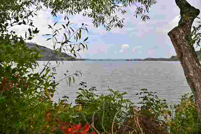 Herbstlicher Durchblick auf den Wallersee  (2)