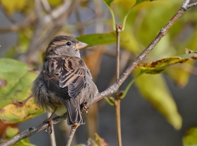 Wenn es kalt wird ...
