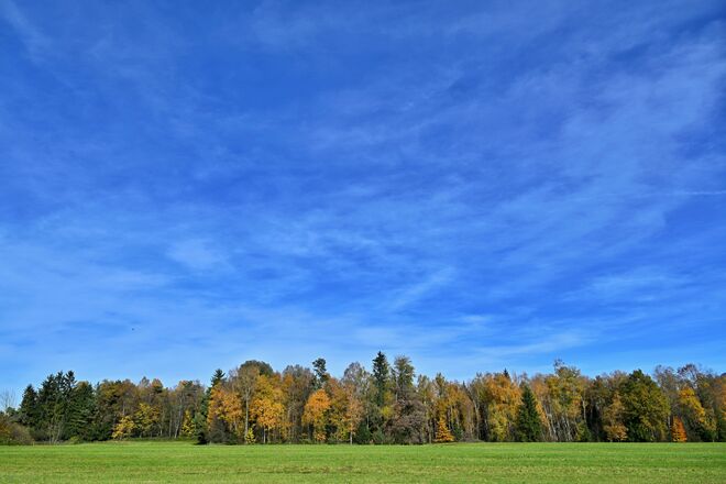 Herbstimpression vom 1. November 