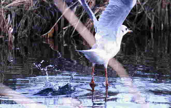 ..und Abflug!!!