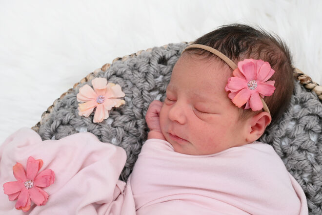 Elona Sofia Isabelle