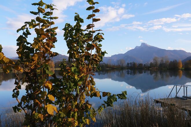 Buntes Novemberlaub am See