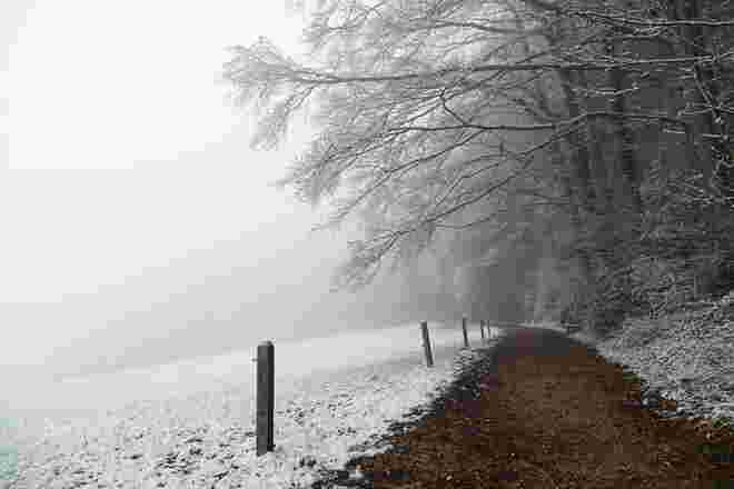 Leicht winterliche und nebelige Idylle am Buchberg
