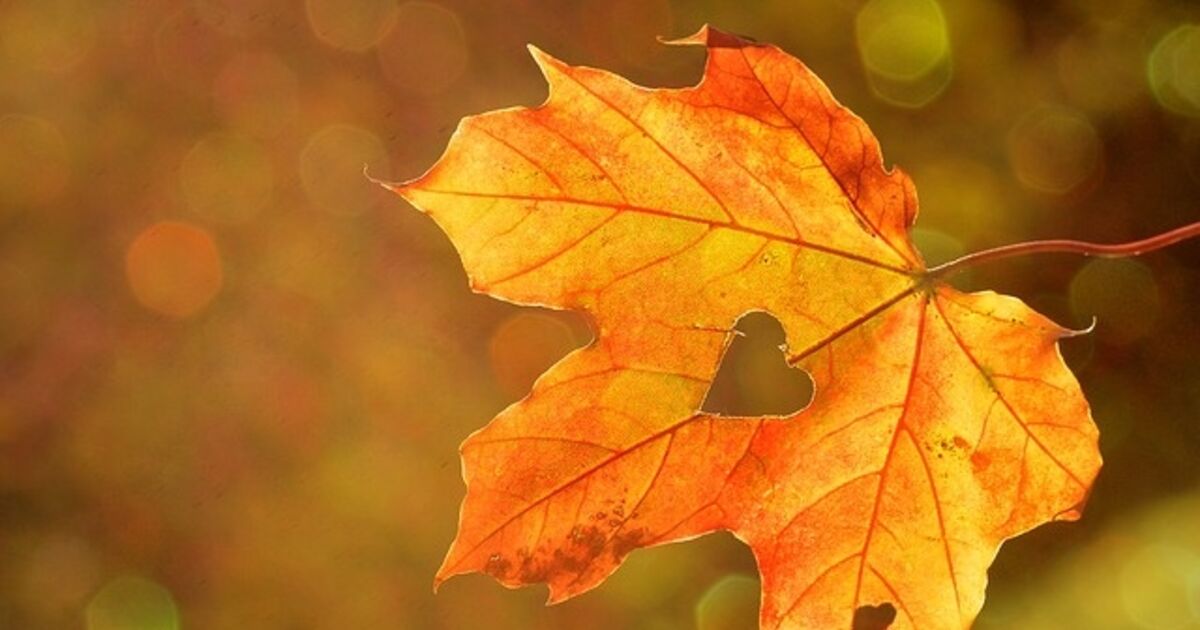 Wohlfühlen im Herbst - 10 Tipps zum Abschalten und Entspannen | SN.at