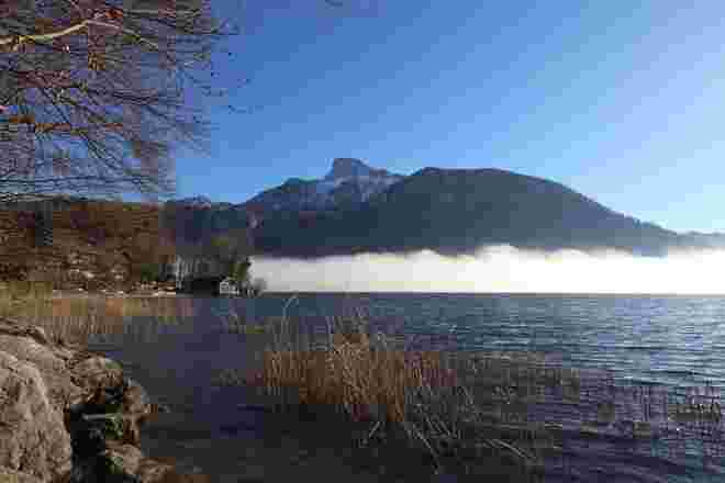 Februarnebel