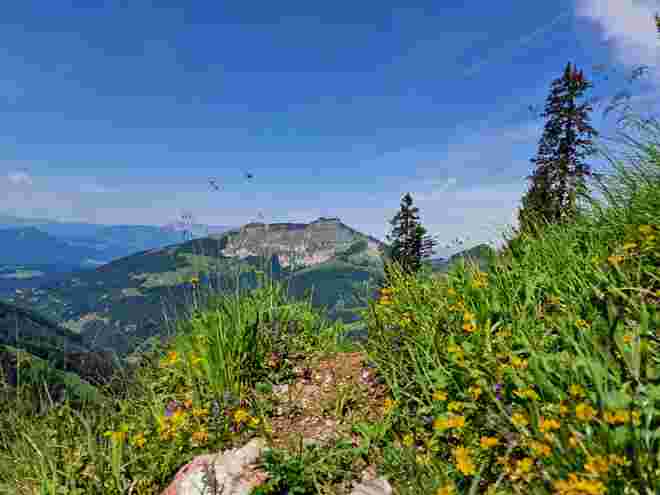 Blick vom Reinsbergsteig