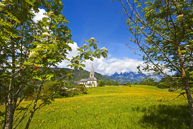 Frühling am Buchberg
