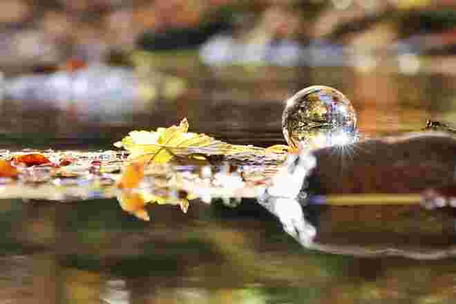 Goldener Herbst