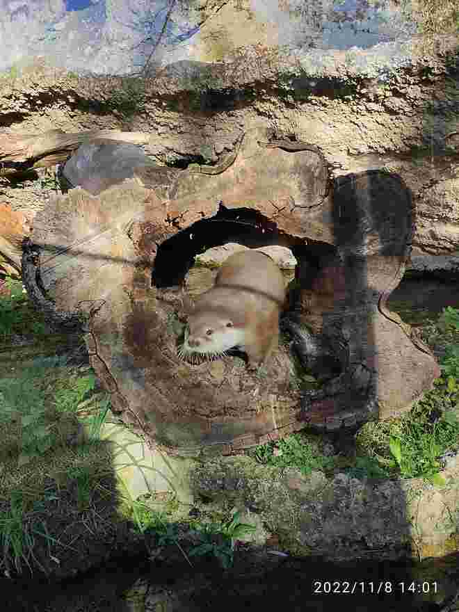 Ein lieber Geselle im Tierpark Hellbrunn
